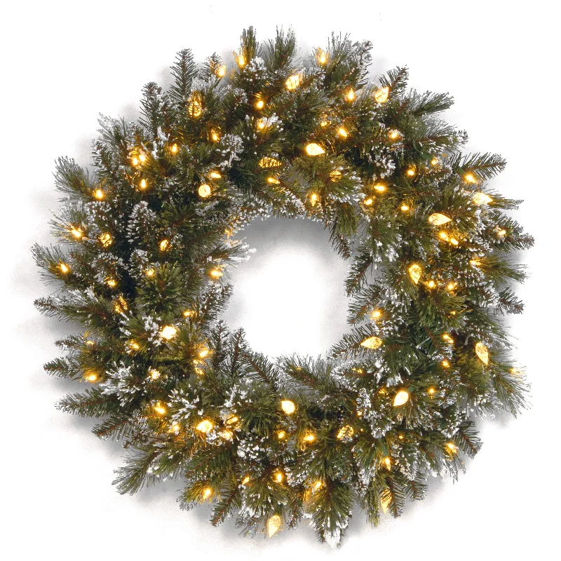 24 in. Pre-Lit Glittery Bristle Pine Wreath with Warm White LED Lights