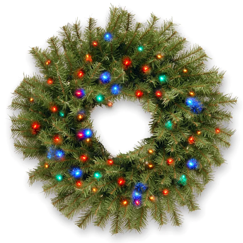 24 in. Pre-Lit Norwood Fir Wreath with Multicolor LED Lights