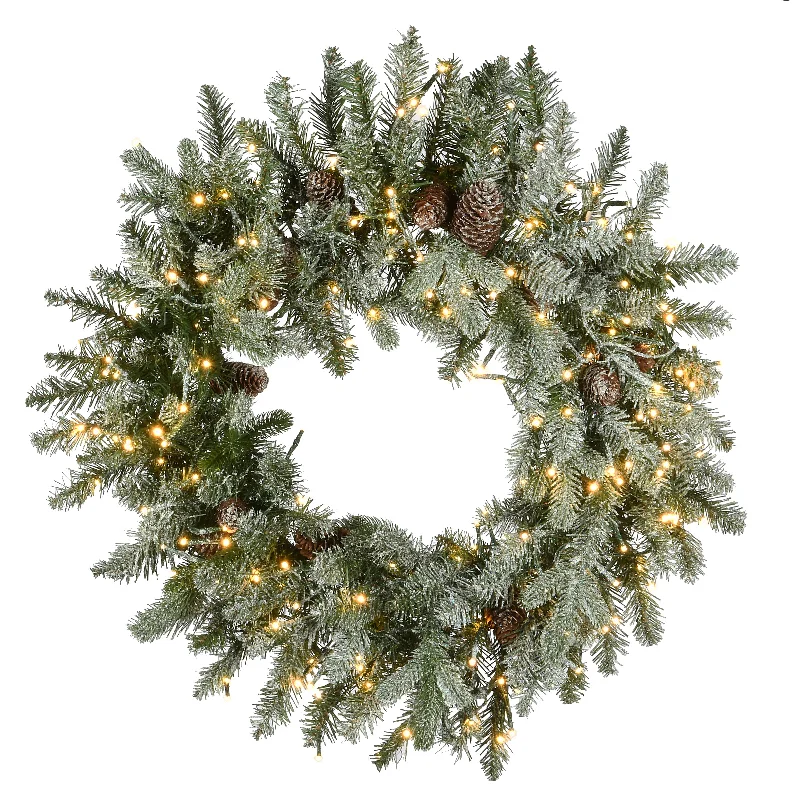 24 in. Pre-Lit Snowy Morgan Spruce Wreath with Dual Color LED Lights