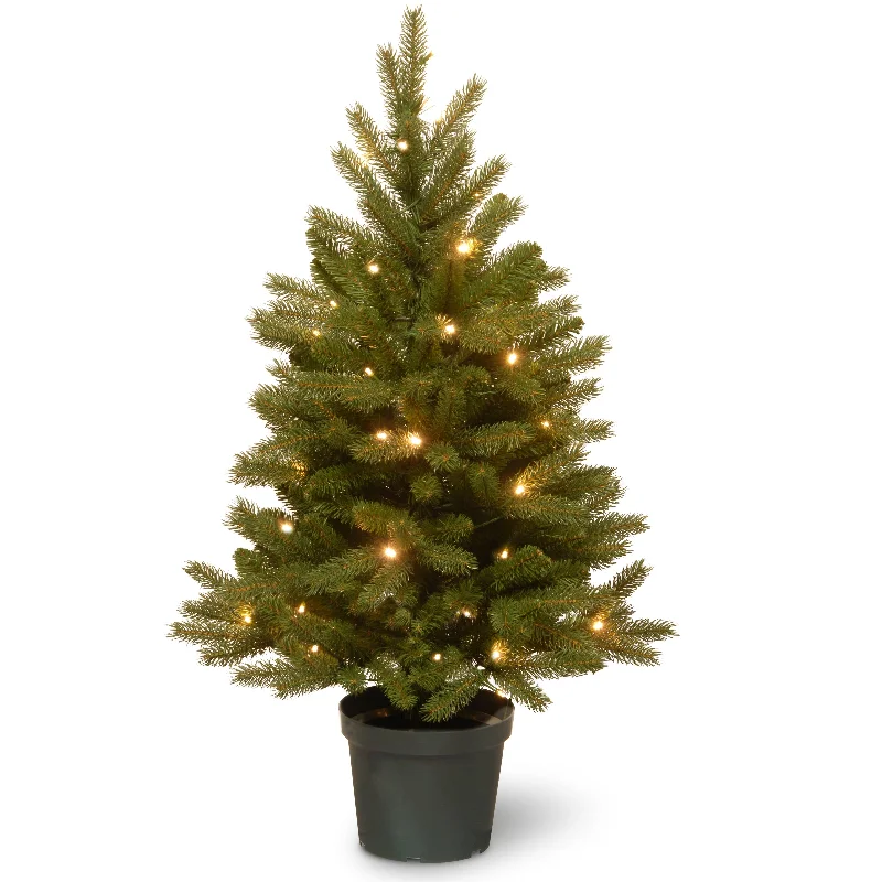 4 ft. Pre-Lit Jersey Fraser Fir Tree with Warm White LED Lights