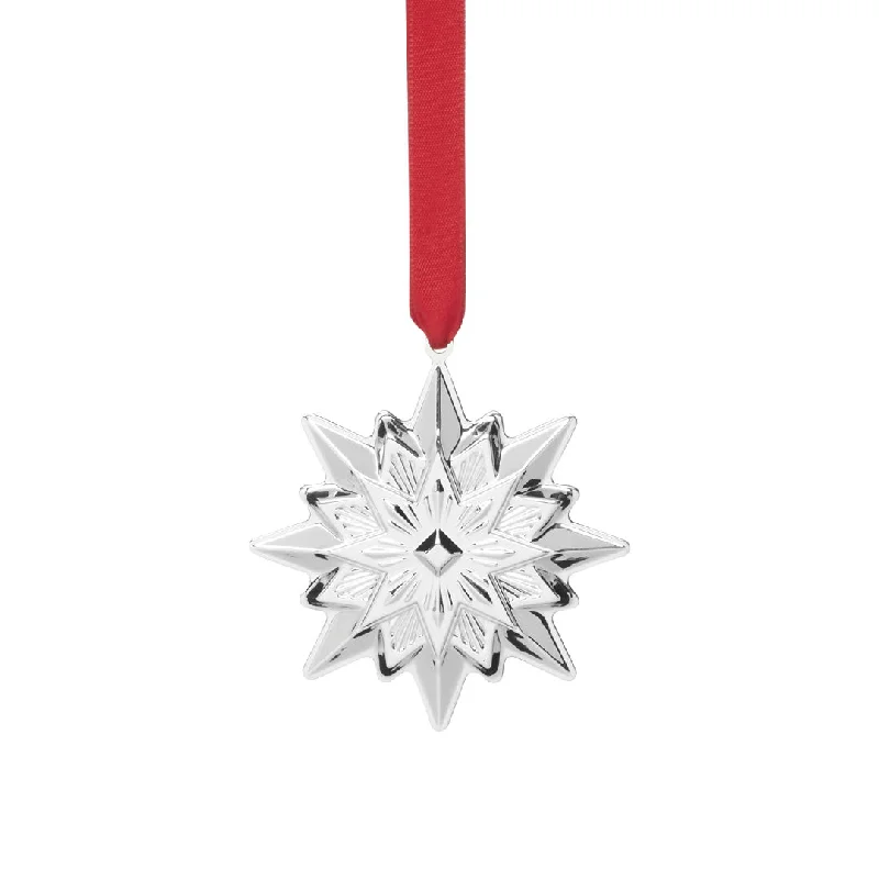 2024 Annual Star Ornament